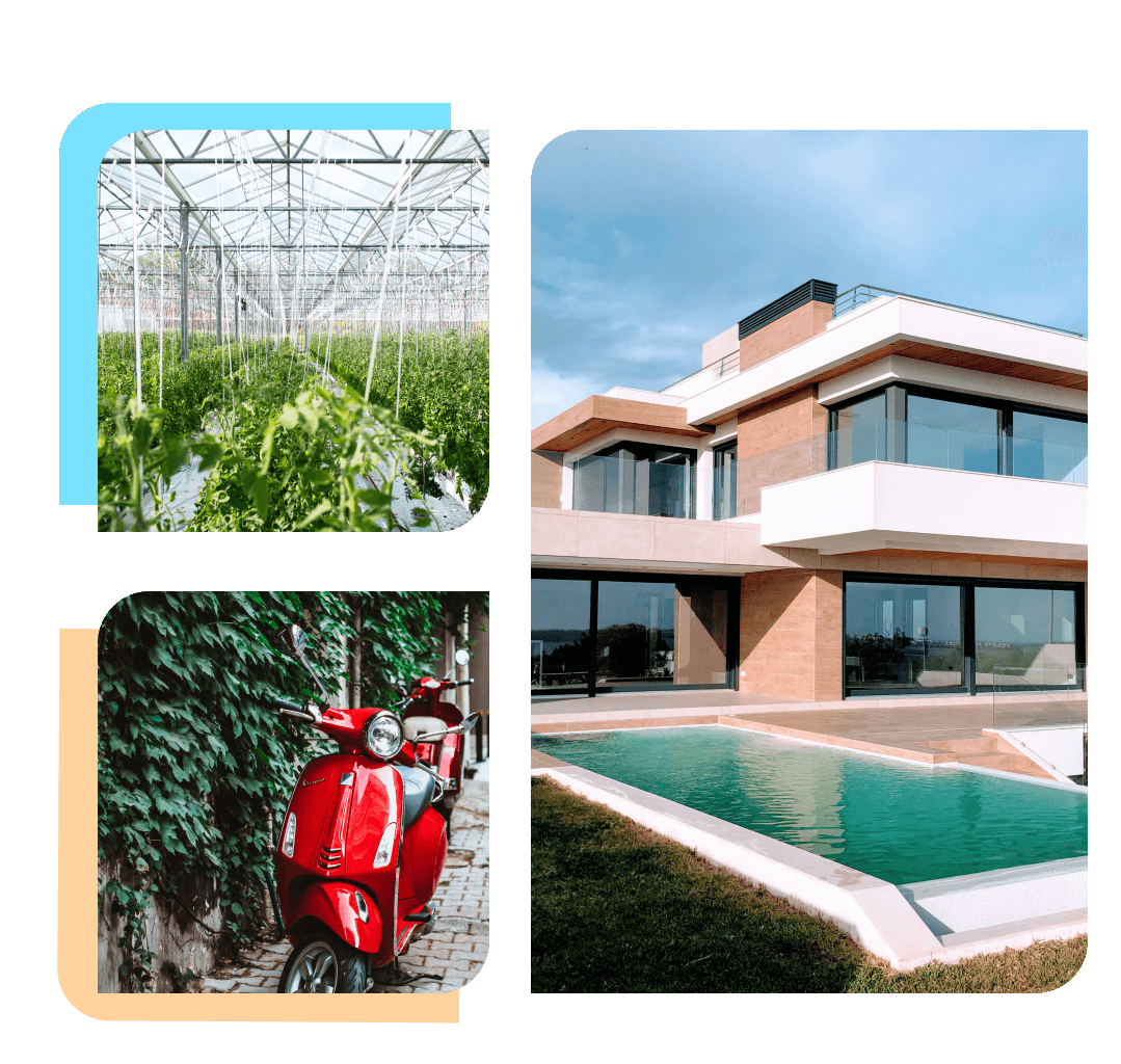 Who Plutus Empire Is